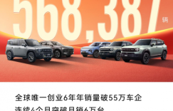 2024完美收官，捷途汽车连续4个月突破月销6万台